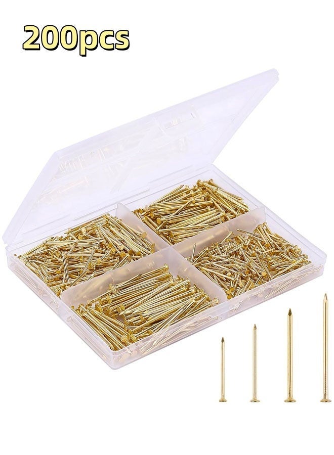 FAVZCBVIN Nail Assortment Kit, 200 Pcs Premium Picture Hanging Nails Assortment Kit, 4 Size Wall Hanging Set for Frame Art Photo, Long and Small Nails Gold Finishing Nails | For Wall Frames, Art, Mirrors & Home Decor - Image 1